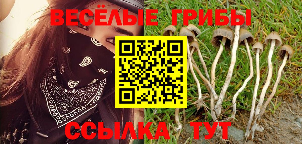 Галлюциногенные грибы мицелий Мурманск