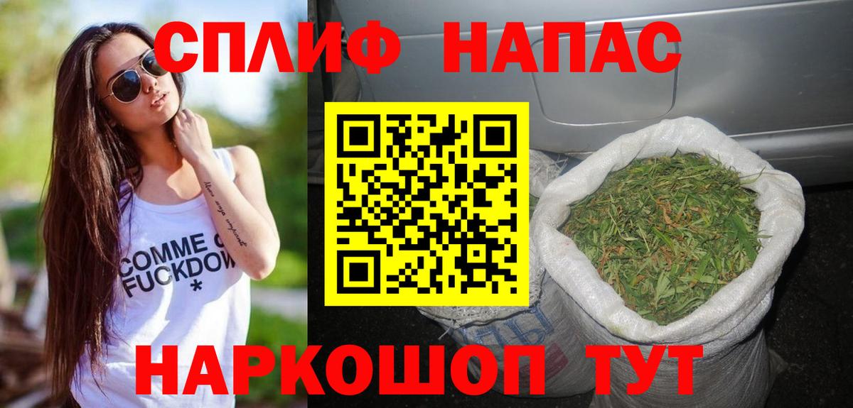 Бошки Шишки план Мурманск